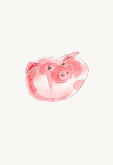 schweinemainpicweb%201